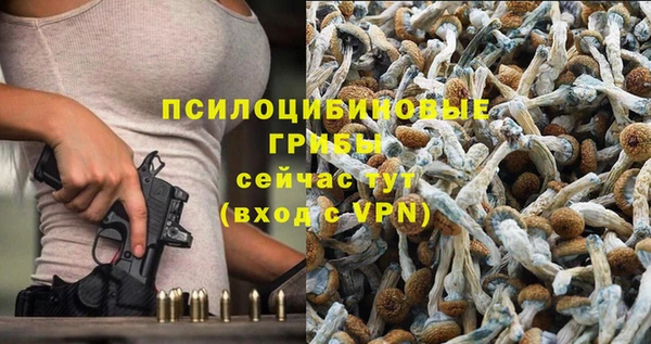 каннабис Белокуриха