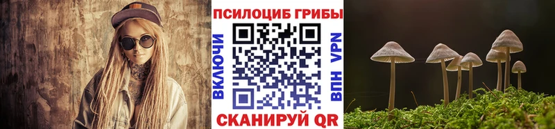 Галлюциногенные грибы Psilocybine cubensis  Шахунья 