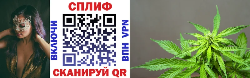 Канабис Amnesia  купить наркотик  Шахунья 